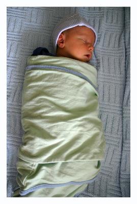 Snug as a bug two.  I think he looks like his cousin Carson sometimes.