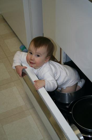 Audrey continues to love to climb into things.  Weird girl.