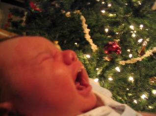 Before we fed her, Audrey was not happy getting her picture taken by the Christmas tree. We think an appropriate caption for this one is 