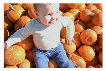 We sat Audrey on the mound of little pumpkins and took a lot of pictures.  The funny part was, we weren't the only ones who subjected their offspring to such treatment!