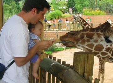 At the Cheyenne Mountain Zoo.  Zookeeper Audrey is feeding the giraffes.  She didn't want to let the cracker go.  I think she wanted the food for herself...